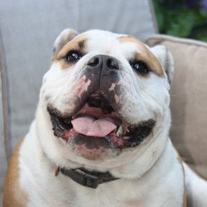 Meet your Posher, Krista